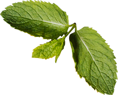 Decorative leaf accent